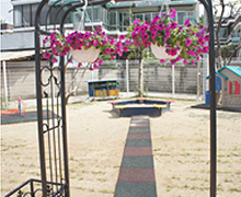 IMG_142336.jpeg
