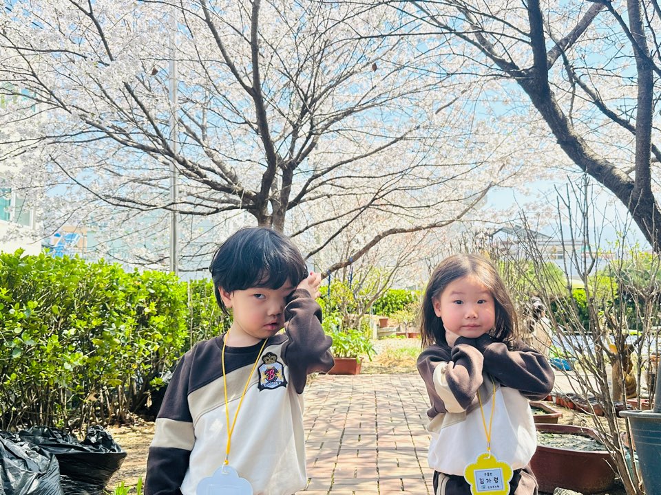 ♥유치원 벚꽃길♥ 사진