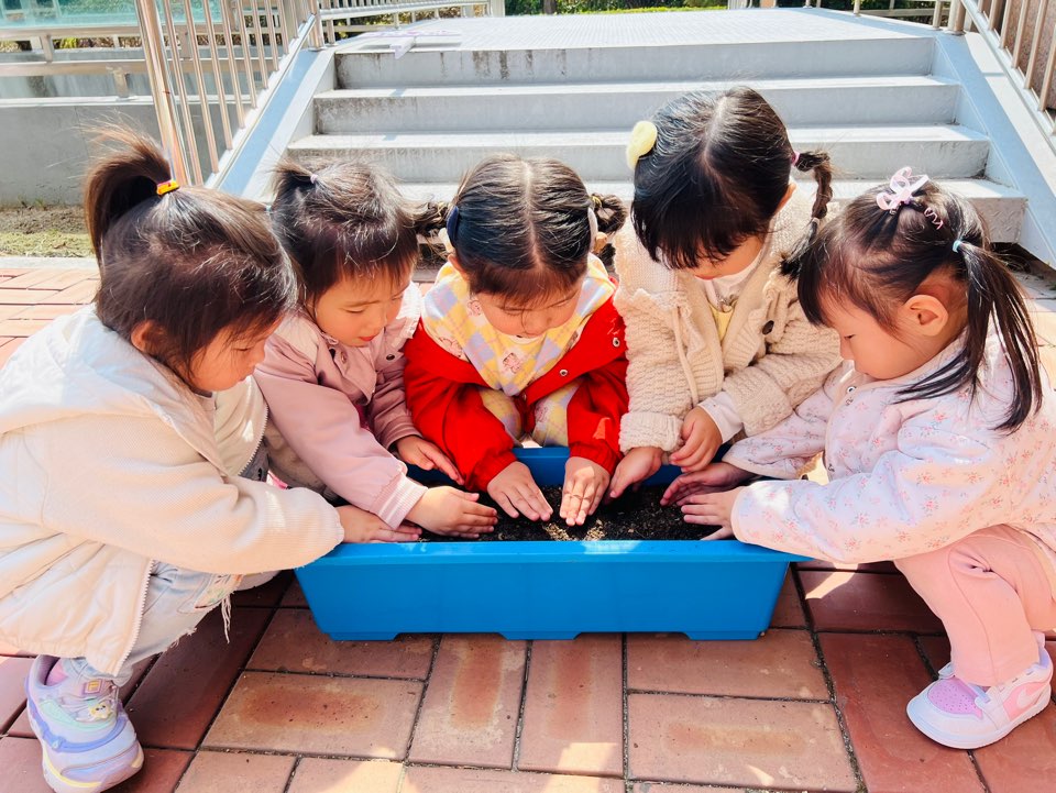 ♥4월 4일 식목일♥ 사진